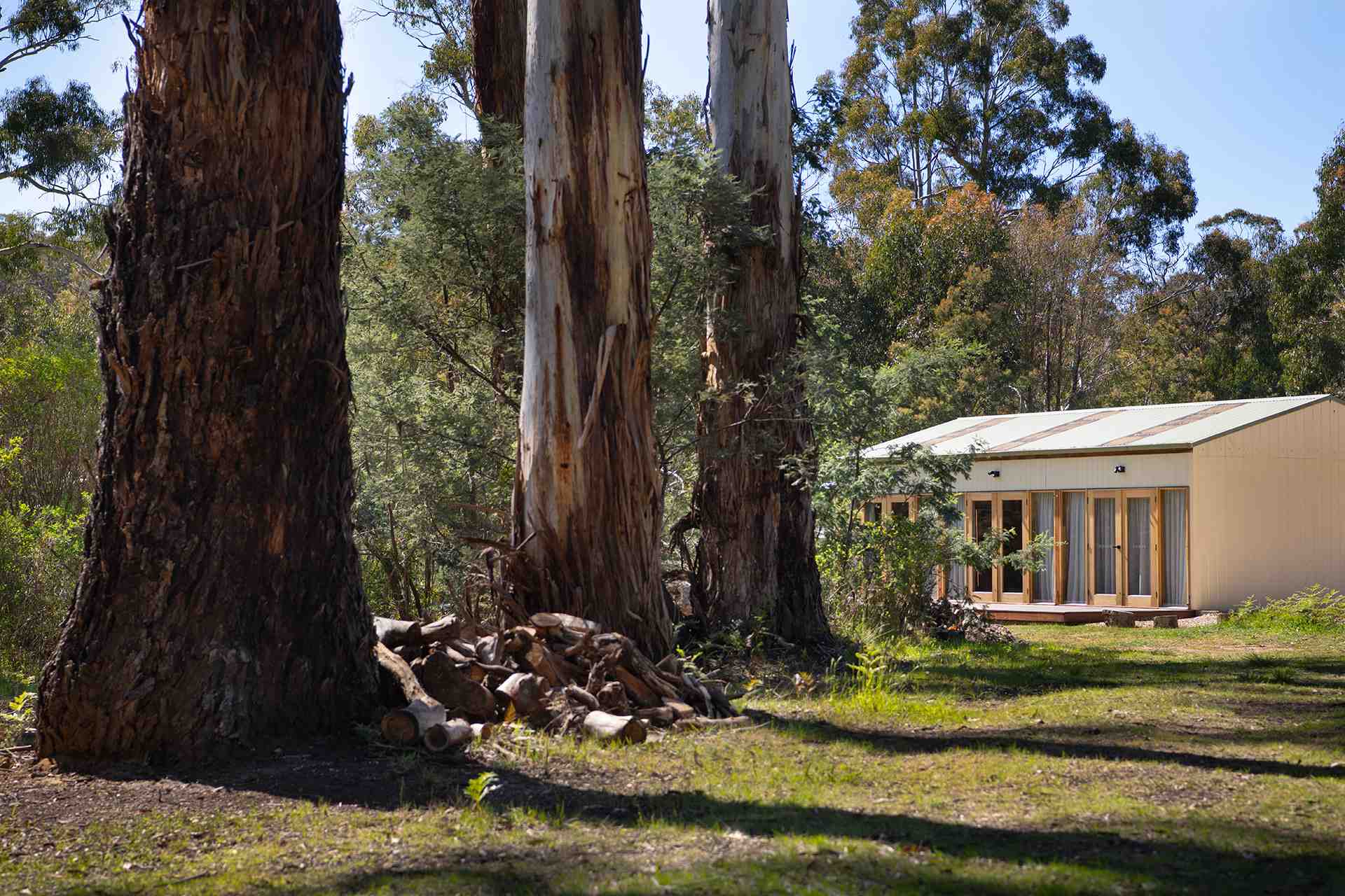 Cottage in trees
