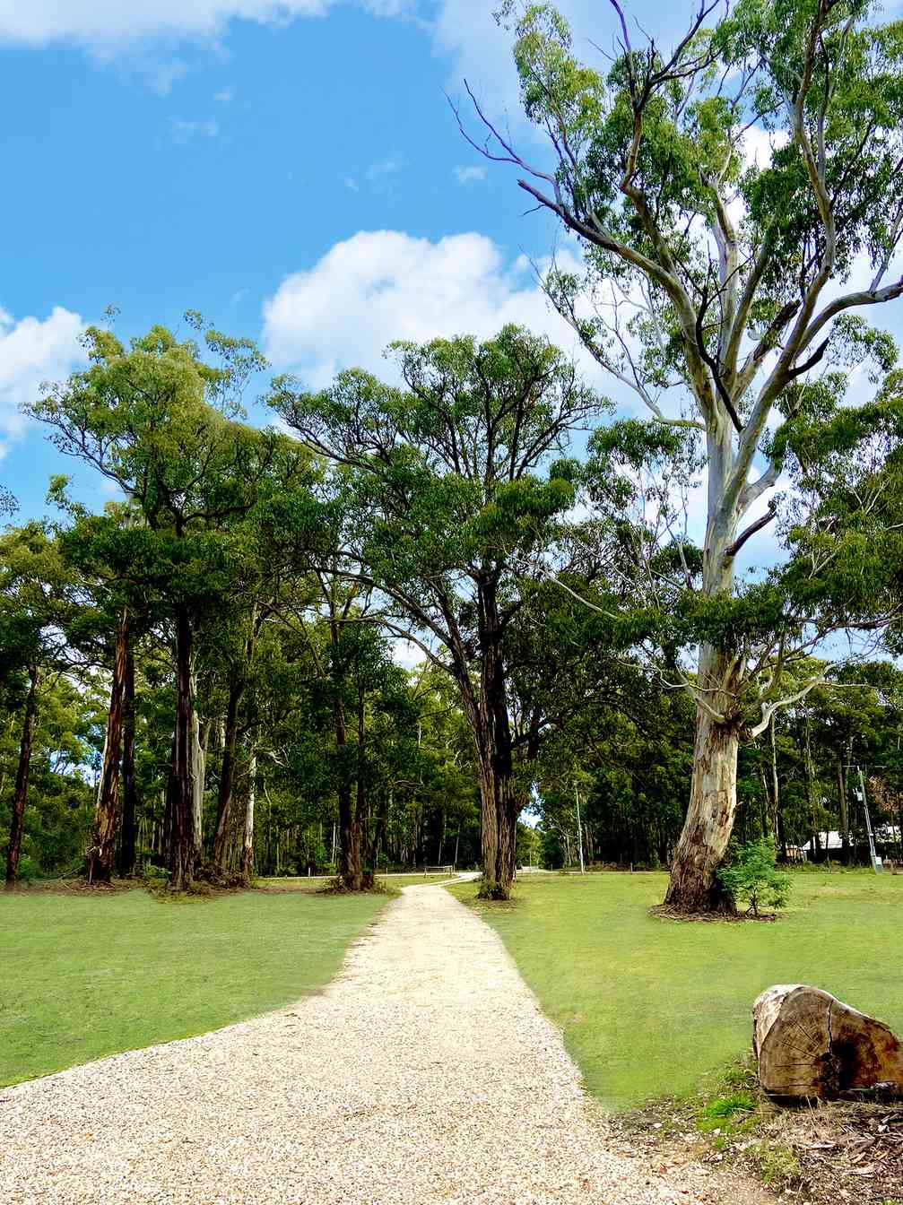 Garden path